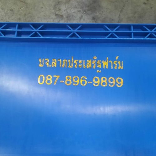 LINE_ALBUM_ตัวอย่างงานสกีน_250715_4