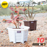 กระถางต้นไม้ 10 นิ้ว รุ่น #899 - Image 3