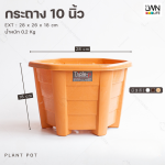 กระถางต้นไม้ 10 นิ้ว รุ่น #899 - Image 5