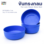 LWNLife 水瓢/水碗 160A 规格 19.5 x 7 厘米 - 图片 4