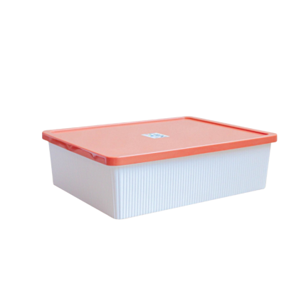 243A Adjustable 15-Compartment Box with Lid
