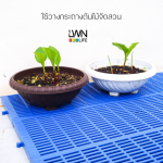PT02  LWNLife 塑料垫板 宠物塑料垫板 - 图片 5