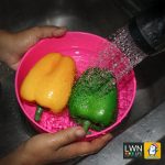 水瓢/水碗 167A 材质厚实 坚固耐用 色彩鲜艳 尺寸适中 - 图片 9
