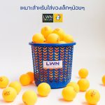 163A Small Round Multipurpose Storage Plastic Basket - Image 5
