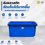 ลังปลาพลาสติก รุ่น 193-B ขนาด 41x66x32cm บรรจุ 65 ลิตร มีรูระบายน้ำ - Image 5