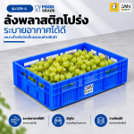 ตะกร้าโปร่งพลาสติก รุ่น 529-A ขนาด  42x62x15 cm บรรจุ 35 ลิตร - Image 5